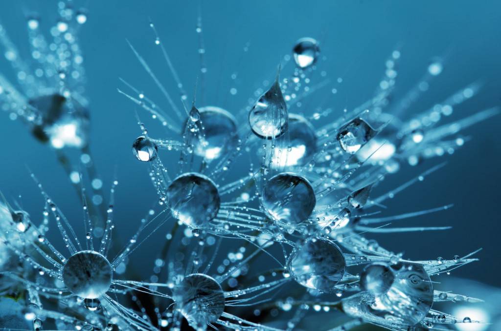 The differences between protein, peptide, gelatine and collagen