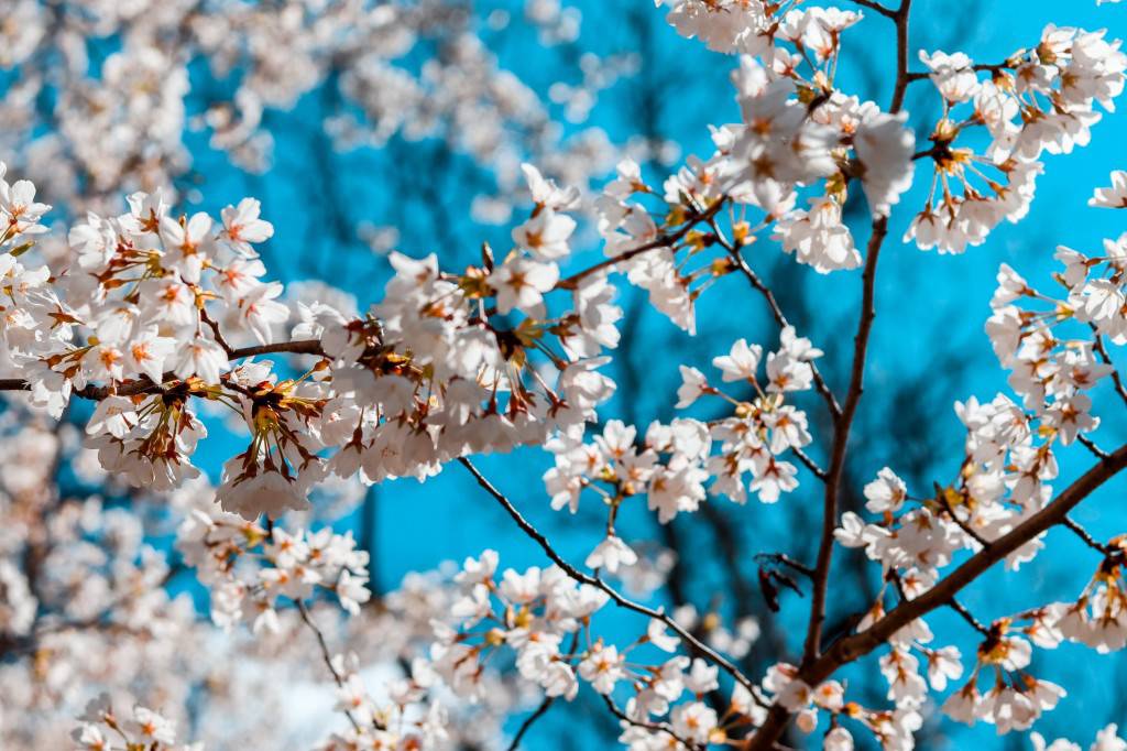Le printemps : nos conseils nutri-cosmétiques et beauté pour préparer votre peau