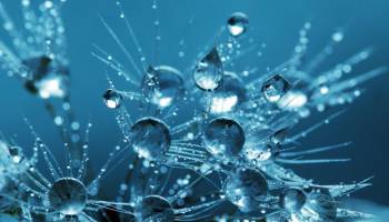 Les différences entre protéine, peptides, gélatine et collagène 